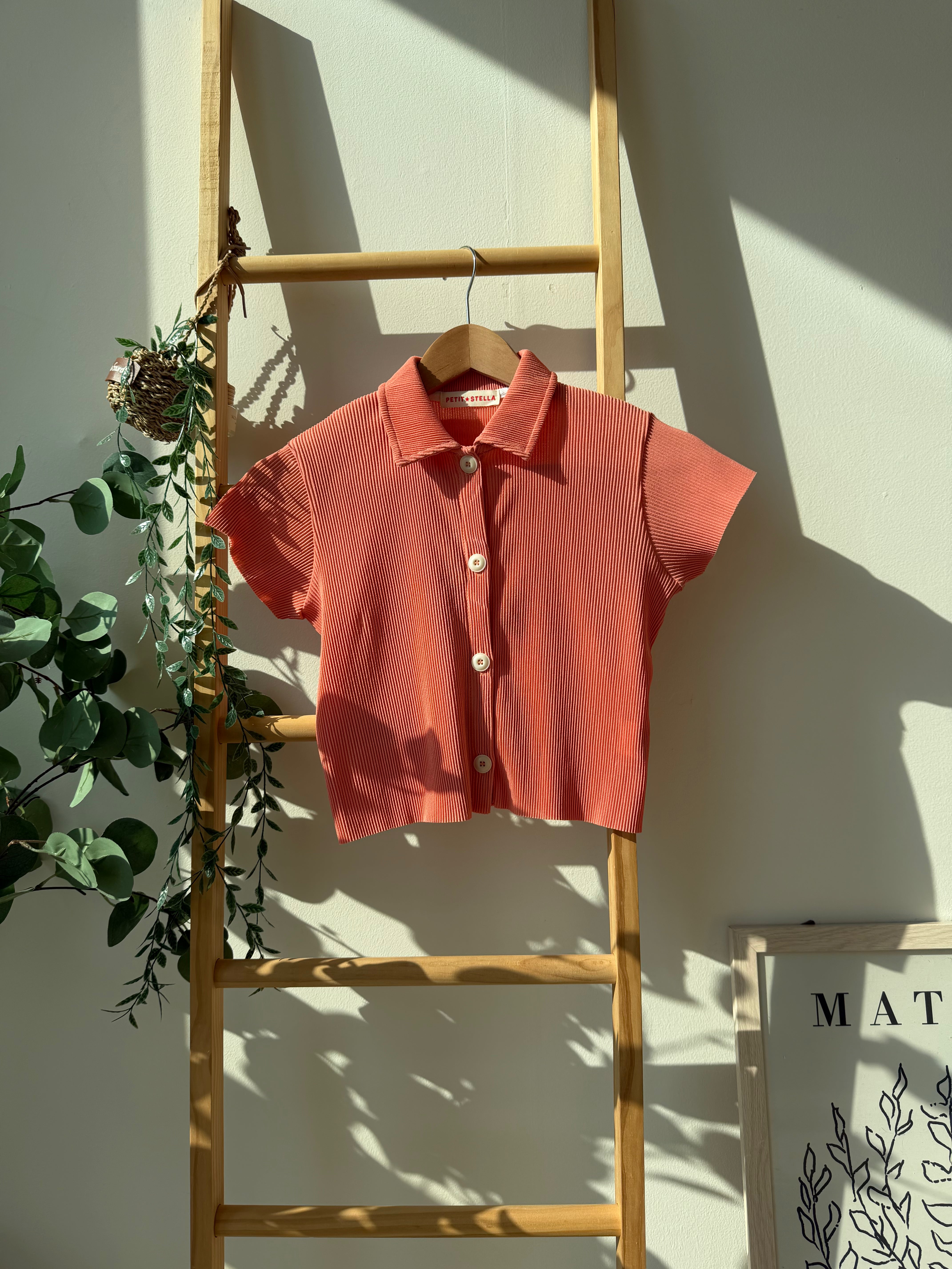 Pastel Collar Pleats Top & Bottom Set - Apricot Pink