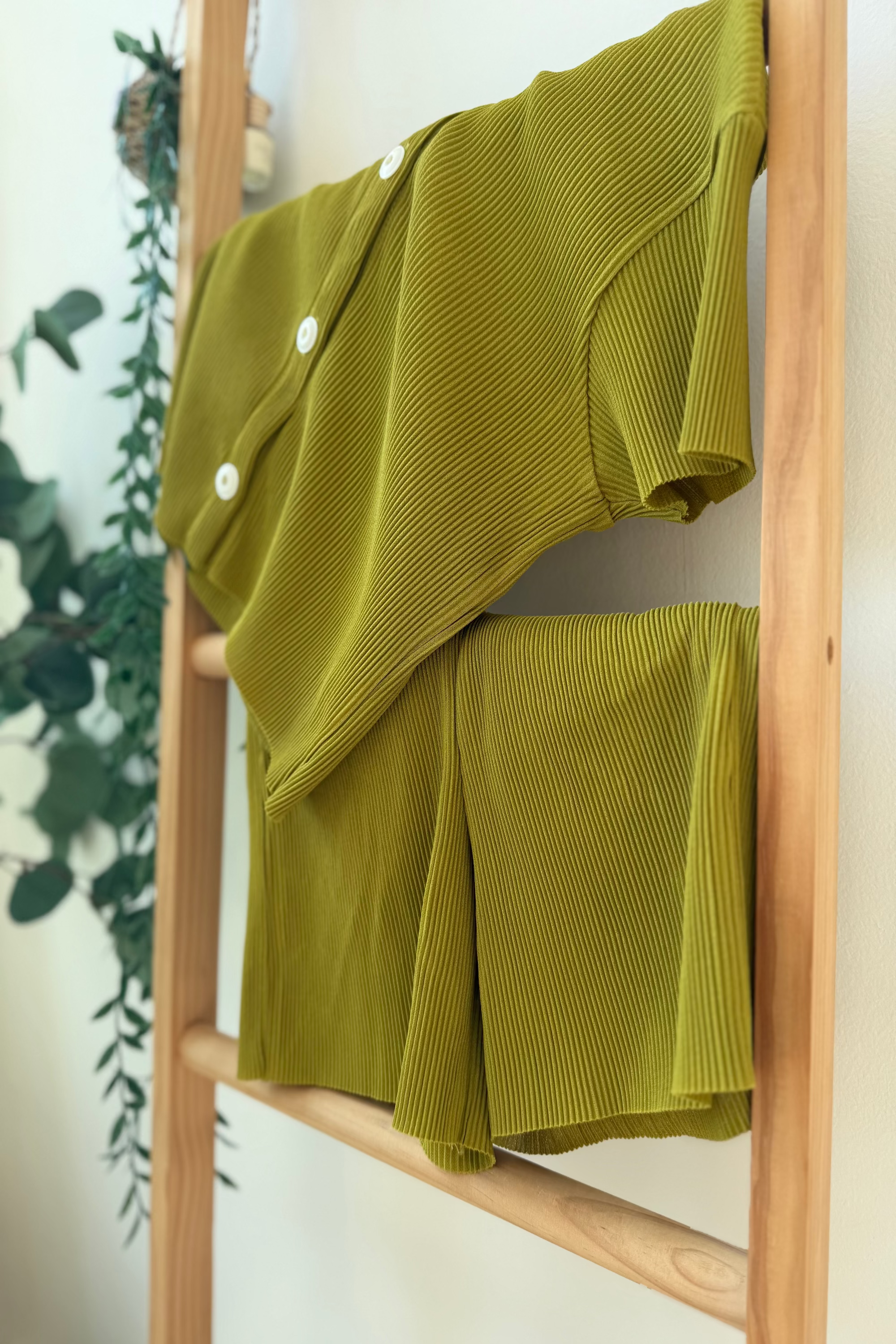 Pastel Collar Pleats Top & Bottom Set - Meadow Green