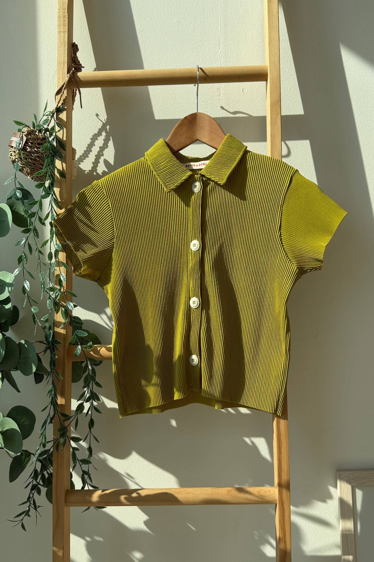 Pastel Collar Pleats Top & Bottom Set - Meadow Green