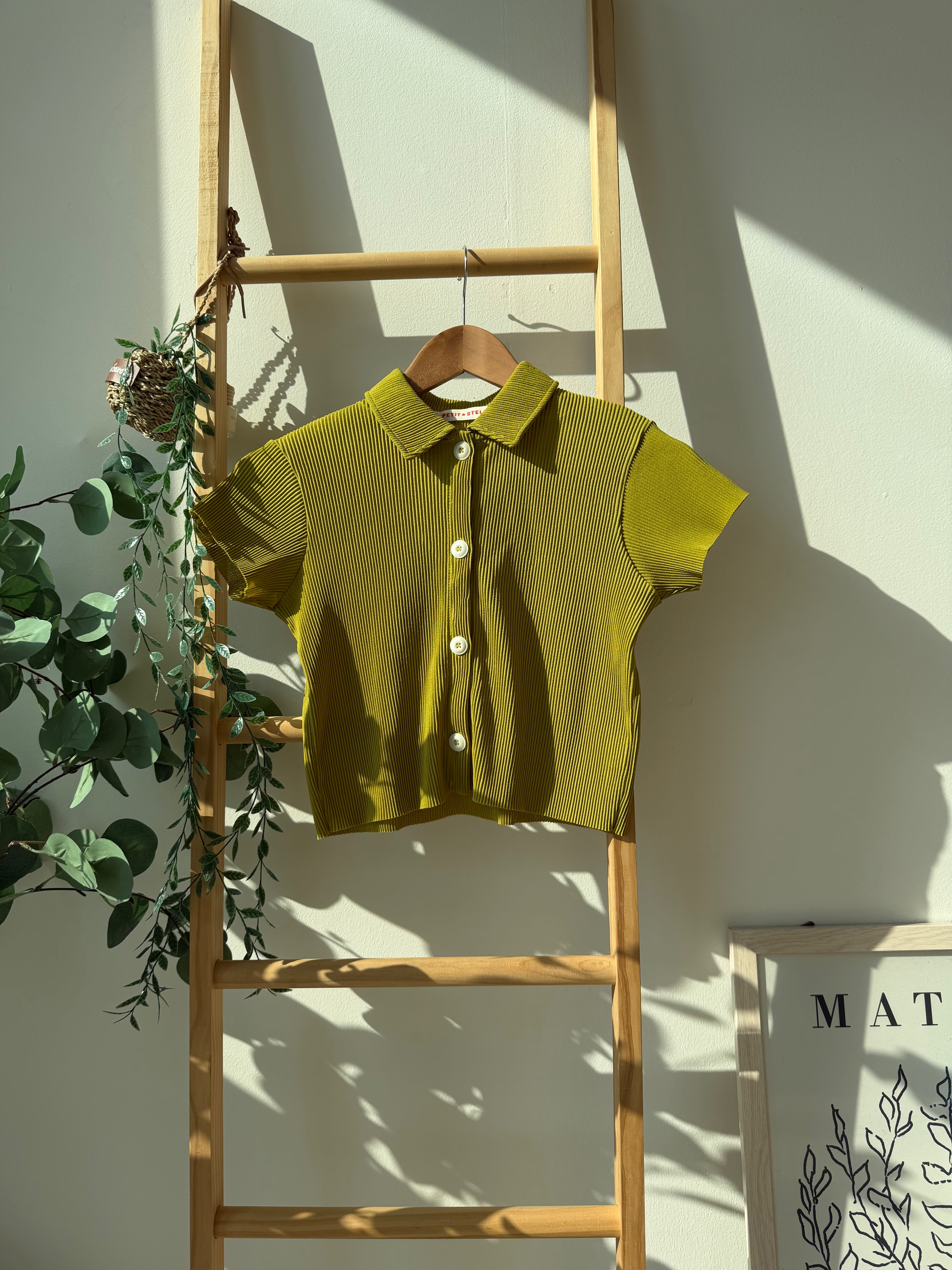 Pastel Collar Pleats Top & Bottom Set - Meadow Green