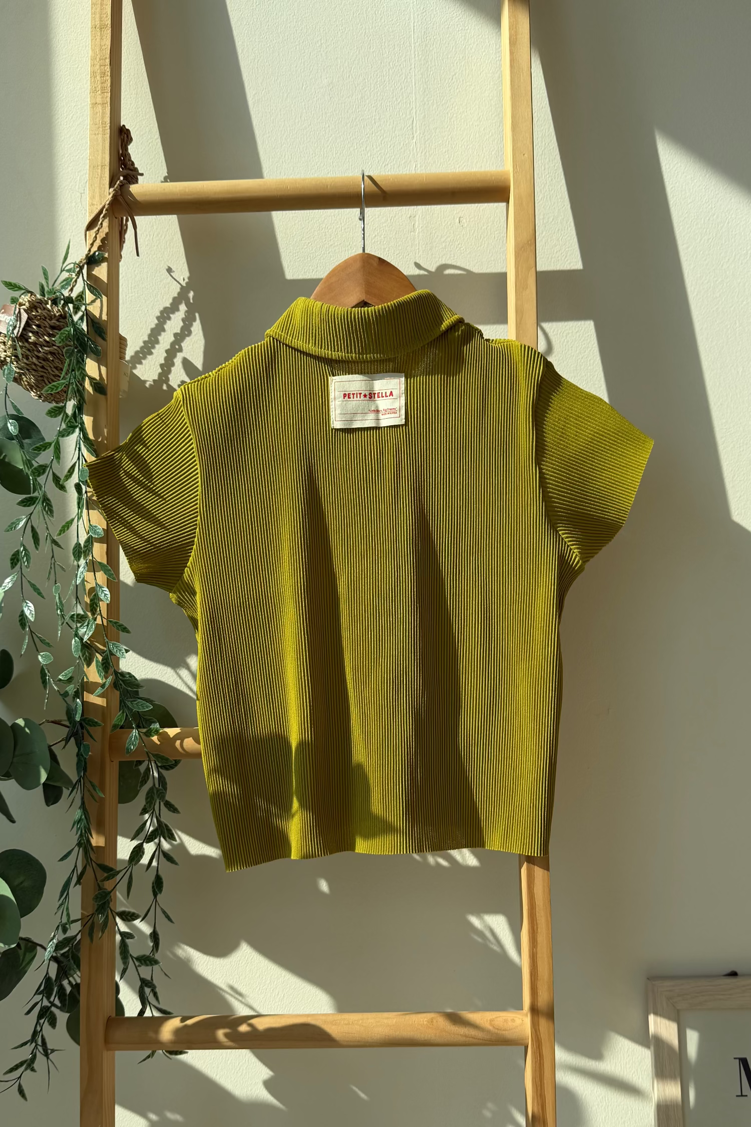 Pastel Collar Pleats Top & Bottom Set - Meadow Green