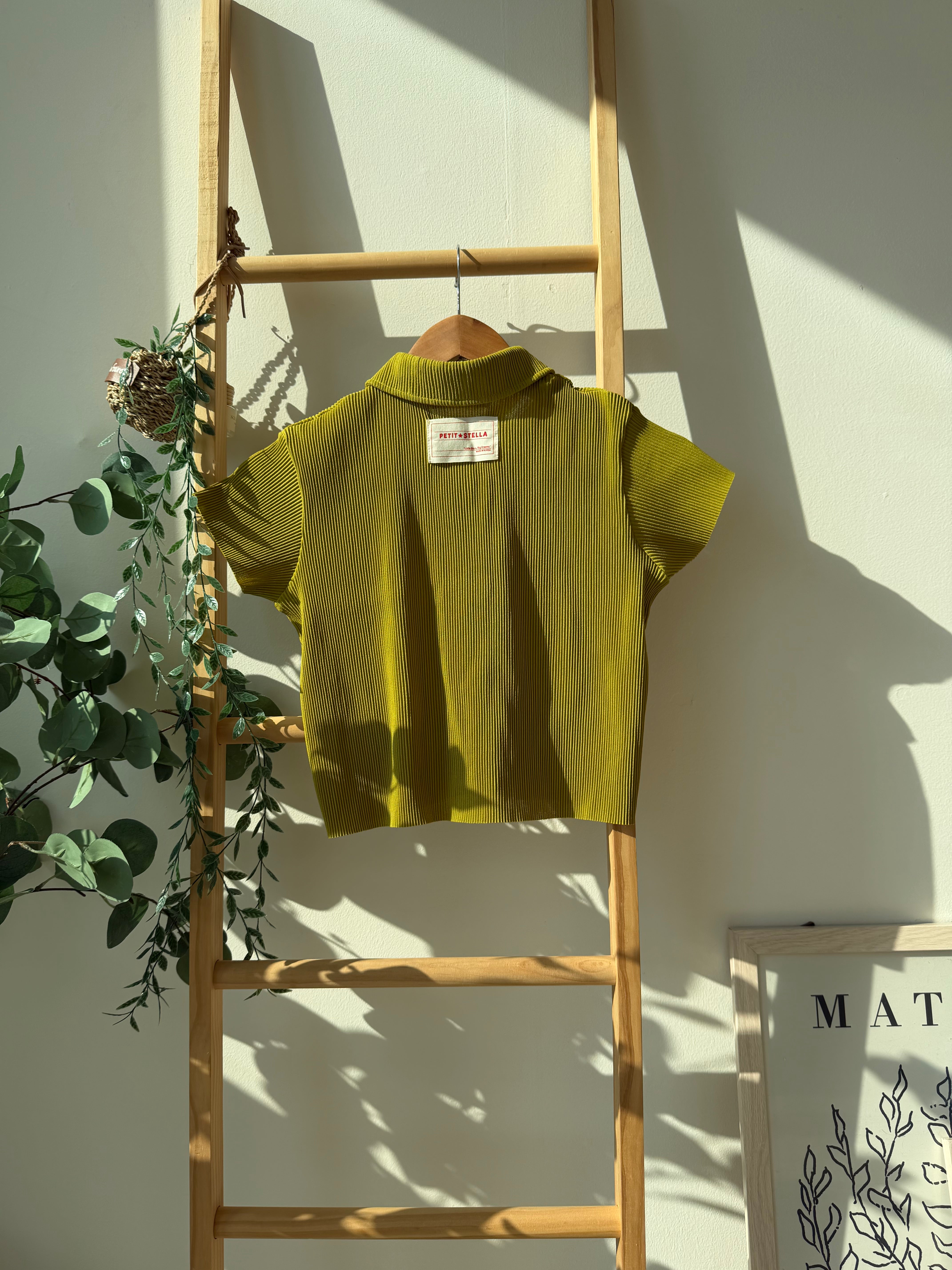 Pastel Collar Pleats Top & Bottom Set - Meadow Green